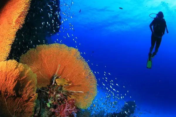 Best Diving In Malaysia: The Best Malaysia Dive Sites
