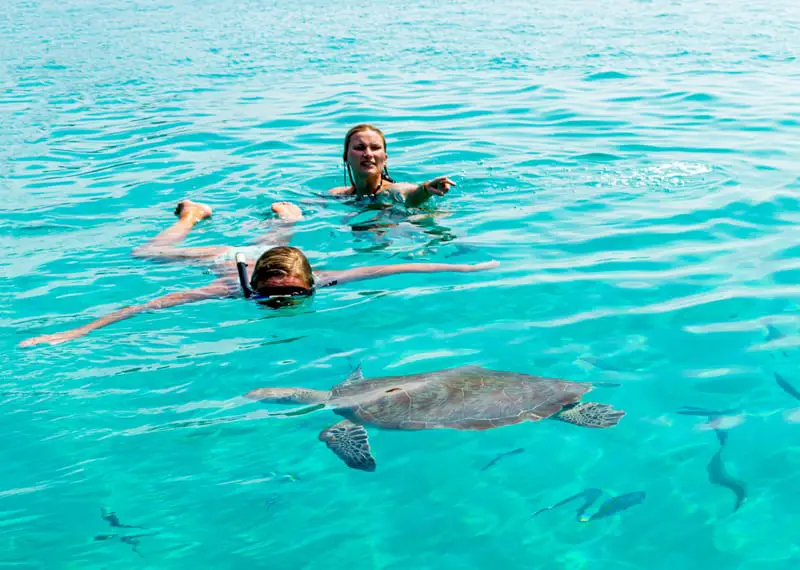 Swimming with turtles around Redang Island