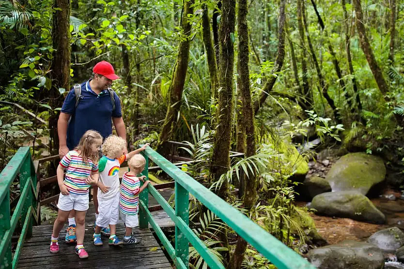 Family Hiking In Borneo Jungle.
