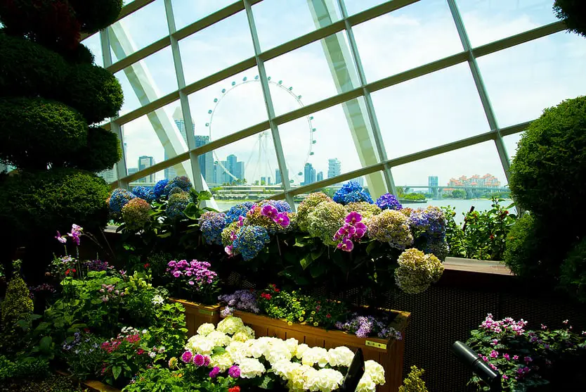 Singapore Flower Dome
