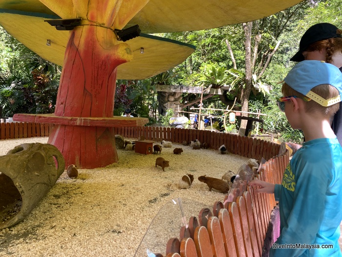 Sunway Lost World of Tambun Ipoh petting zoo hamster enclosure