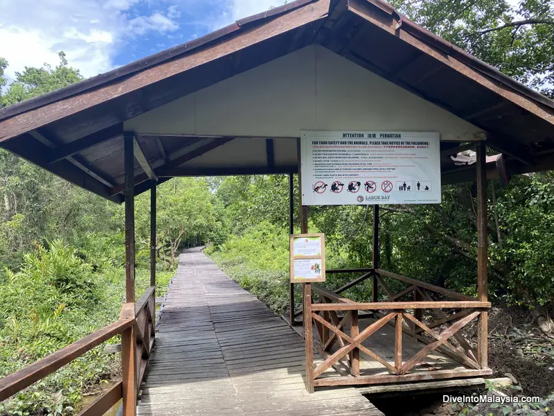 Labuk Bay Proboscis Monkey Sanctuary entry to boardwalk for platform A