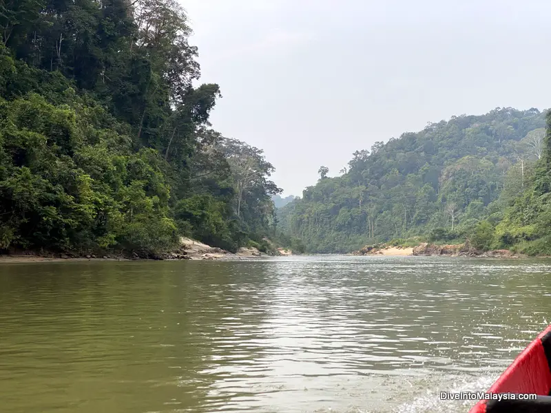 Exploring Taman Negara by boat