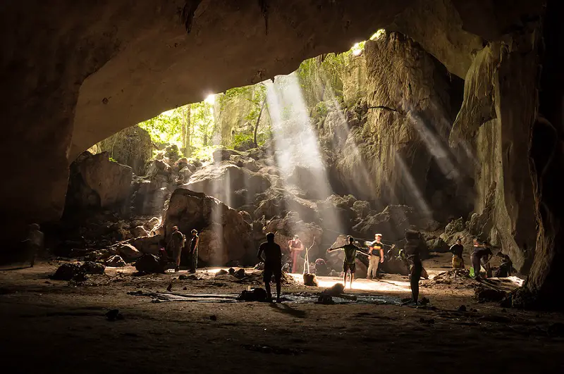 Rainforest Cave in Taman Negara