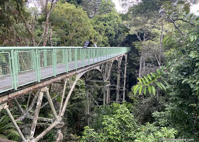 Sandakan Rainforest Discovery Centre
