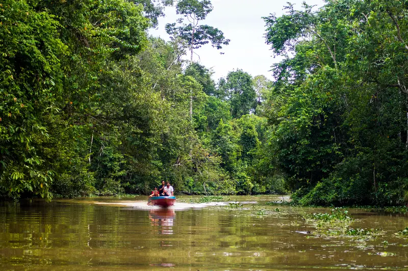 Kinabatangan River Cruise: Best Tours And Everything You Need To Know