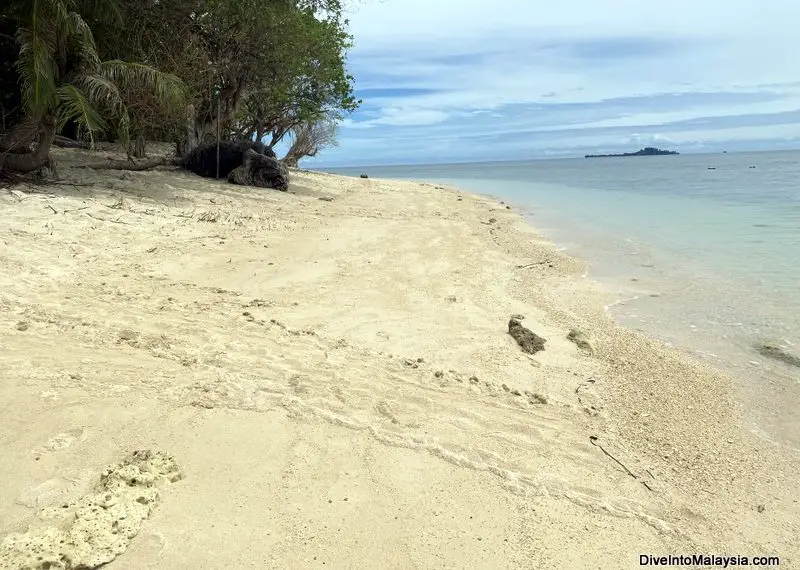 Some turtle tracks on the beach at Selingan Turtle Island
