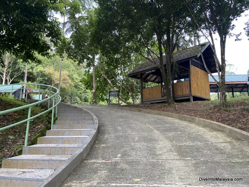 Walking into Sandakan Rainforest Discovery Centre