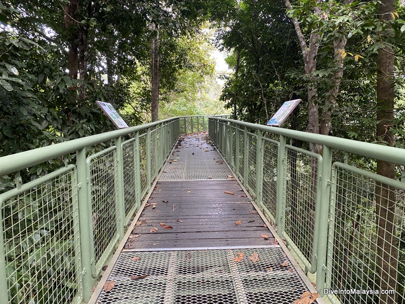 Canopy walkway at Sandakan Rainforest Discovery Centre