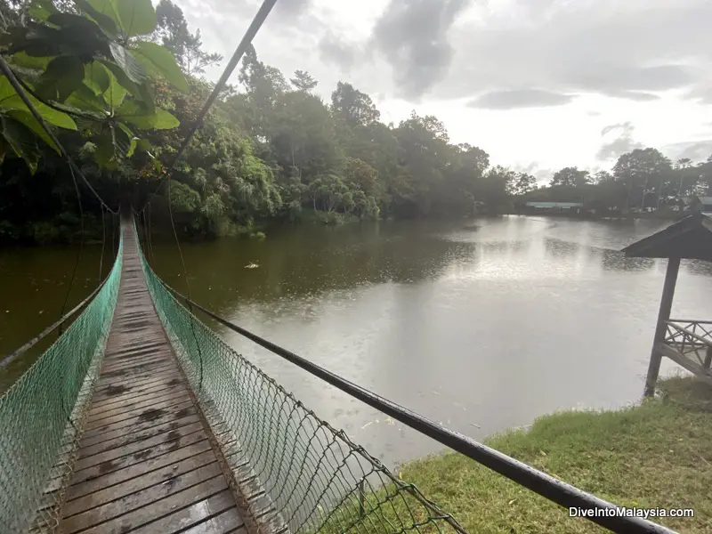 The suspension bridge over the lake at Sandakan Rainforest Discovery Centre