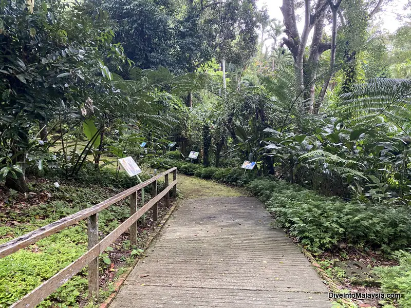 The Plant Discovery Garden at Sandakan Rainforest Discovery Centre
