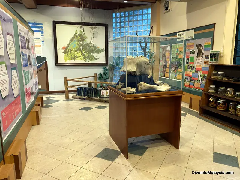 Sandakan Rainforest Discovery Centre Exhibition Hall