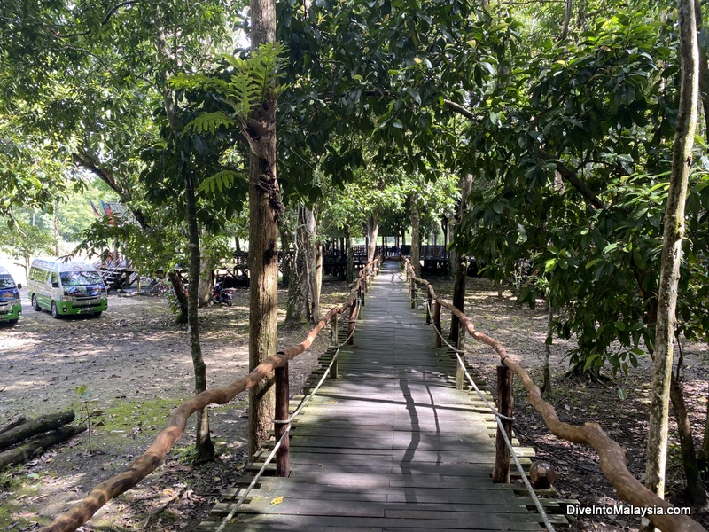 Borneo Natural Sukau Bilit Resort  paths