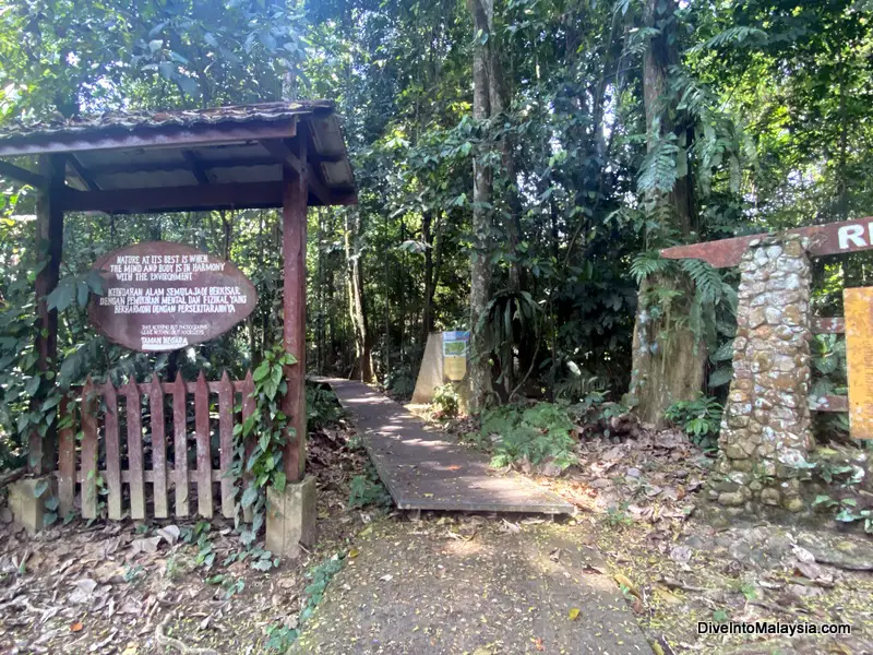 Start of the Canopy Walk at the edge of the Mutiara Taman Negara