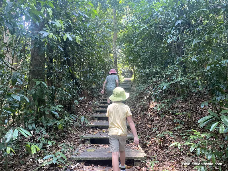 Taman Negara Canopy Walk trail with kids