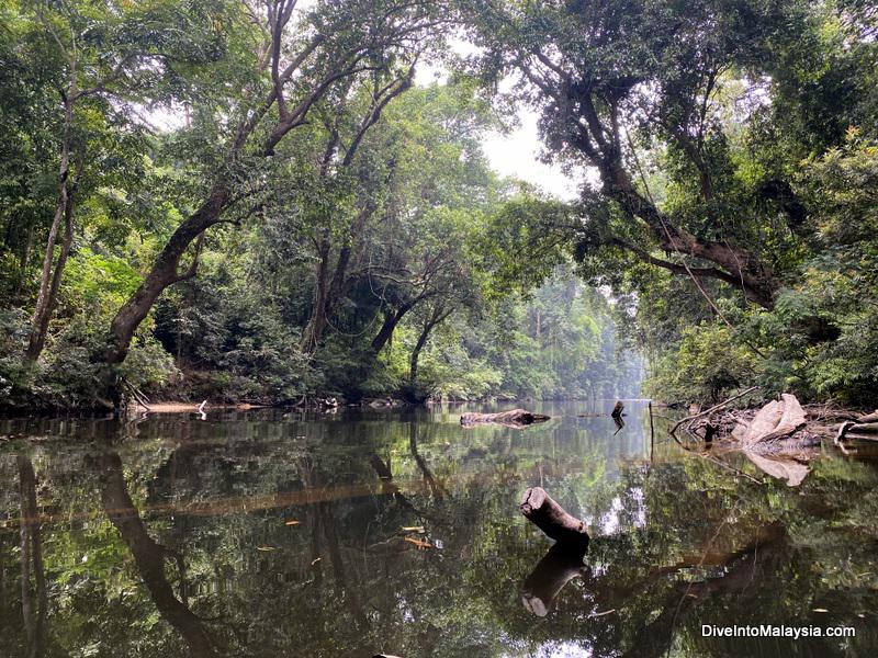 The gorgeous scenery on the way to Lata Berkoh Taman Negara