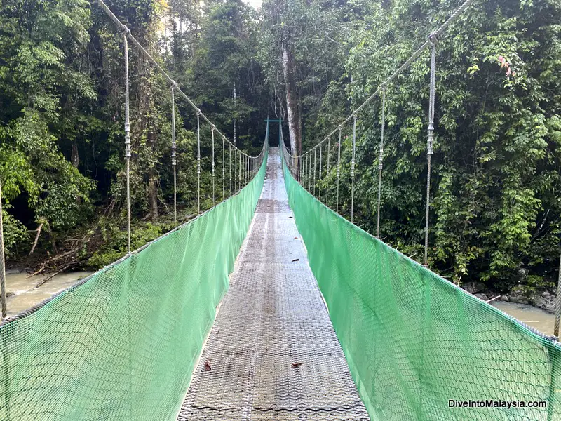 Tabin Wildlife Reserve suspension bridge at the resort