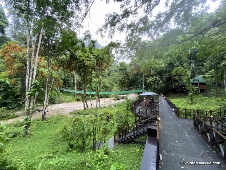 Tabin Wildlife Reserve And Resort: Everything You Need To Know [2024 ...