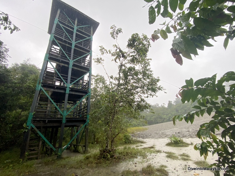 Tabin Wildlife Resort viewing tower at mud volcano