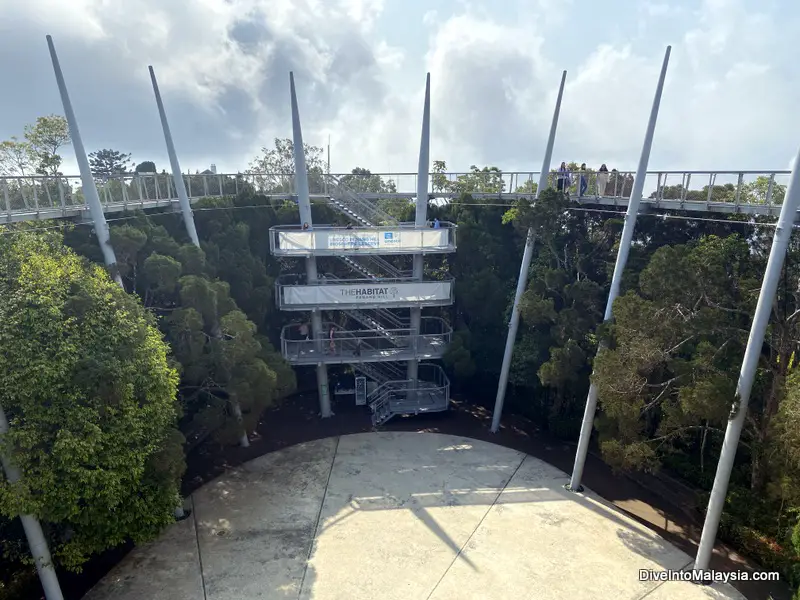 The Habitat Penang Hill Tree Top walk staircase