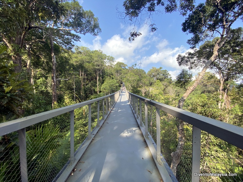 The Habitat Penang Hill canopy walk
