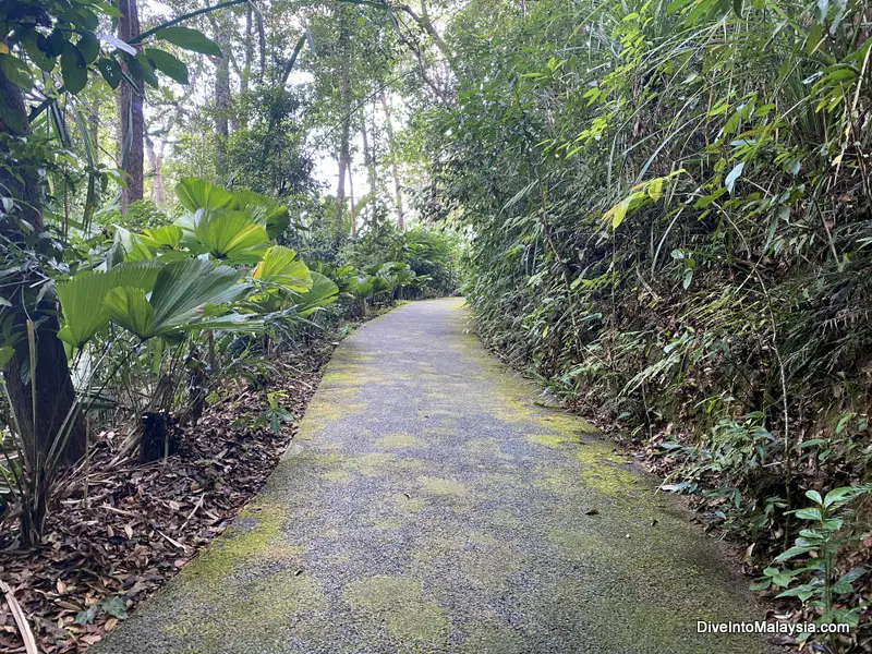 The Habitat Penang Hill nature trail