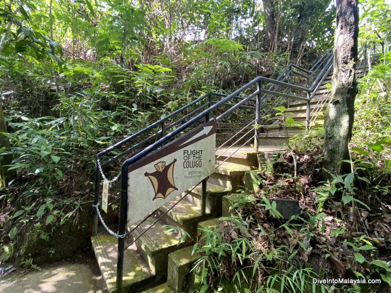The Habitat Penang Hill stairs going up to the zipline