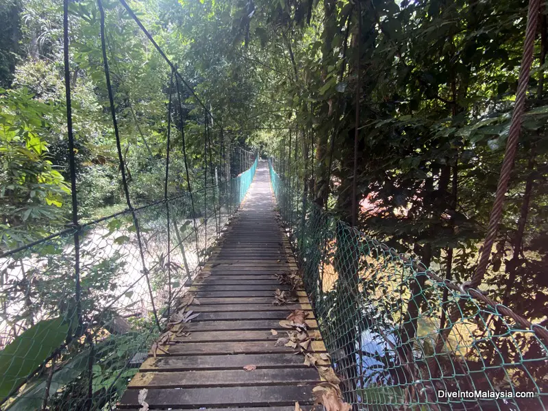 Lambir Hills National Park Miri Suspension bridge on the main trail