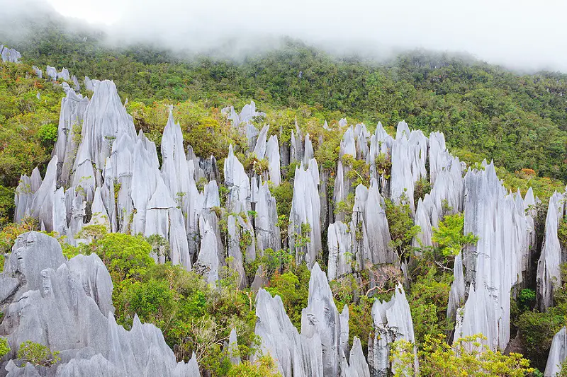 The Pinnacles Gunung Mulu National Park