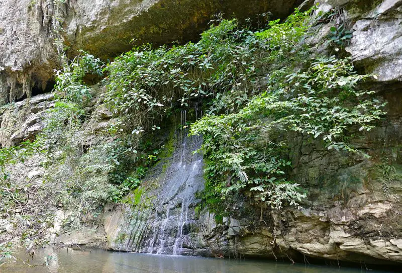 Paku Waterfall Sarawak