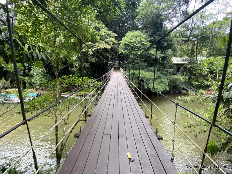 This swinging bridge is the entry to Mulu National Park