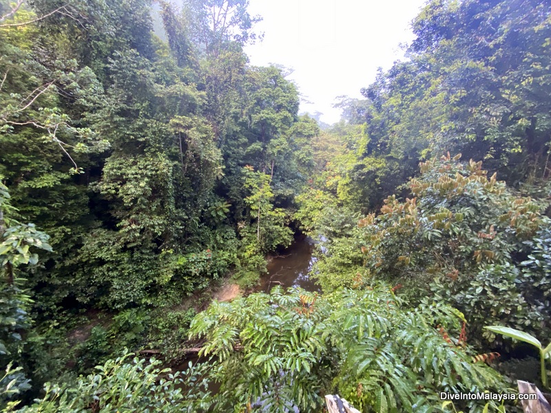 Views from Mulu Canopy Skywalk Gunung Mulu National Park