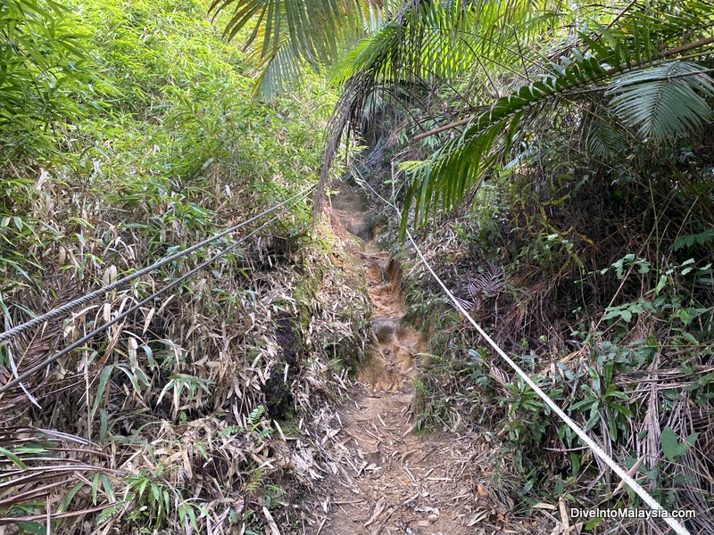 First part of walk up Prayer Mountain Bario