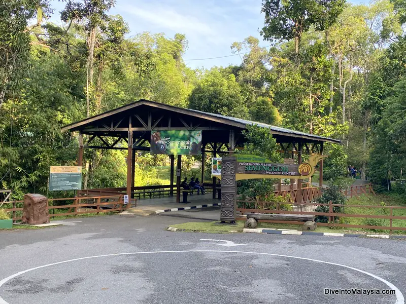Semenggoh Wildlife Centre Main area need the feeding platforms