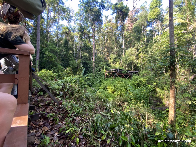 Semenggoh Wildlife Centre feeding platforms