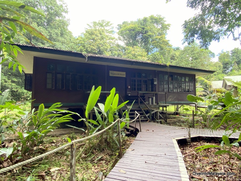Mulu National Park hostel